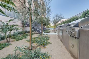 A small garden with a tree and a metal structure.